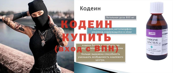 apvp Ельня