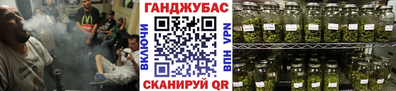 Купить где Аргун МАРИХУАНА марихуана